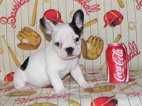 HE IS SOLD