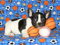 SPORT
